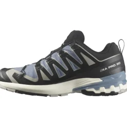 Salomon 10 GHO XA PRO 3D V9 GTX Flint_Stone_Black Ghost Goretex Membran S15  L47270600
