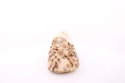 s`knöpfli Damen Hausschuh geschlossen leopardenmuster  beige S23 Z29117