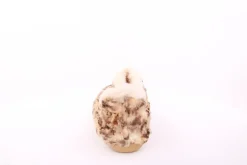 s`knöpfli Damen Hausschuh geschlossen leopardenmuster  beige S23 Z29117